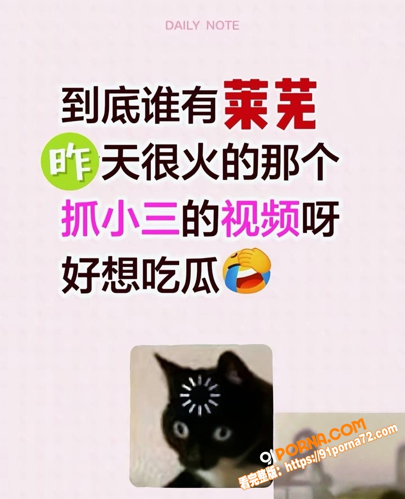 全网疯抢莱芜抓小三 5分...（4）